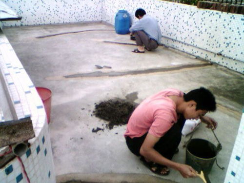 東莞專業(yè)防水補(bǔ)漏服務(wù) 解決廠房、辦公室漏水與隔熱層損壞問(wèn)題